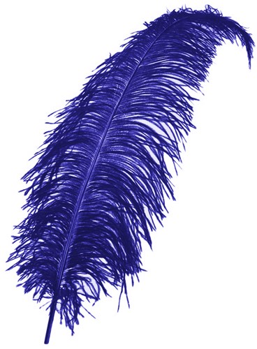 Struisvogelveer Blauw 50-60cm