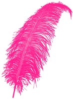 Struisvogelveer Hot Pink ca. 50-60cm