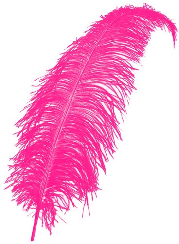 Struisvogelveer Hot Pink ca. 50-60cm