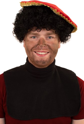 Col Piet Zwart