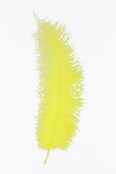 Struisvogelveren 50-60cm Geel 