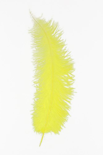 Struisvogelveren 50-60cm Geel 