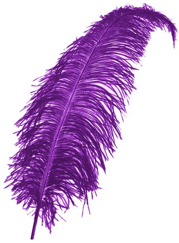 Struisvogelveren 50-60cm Paars 