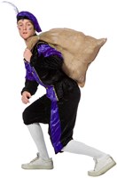 Piet Pansamt Budget Heer Paars (zijkant)