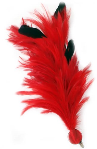 Buigbare Verenpluim Rood met Speld en Clip - 30cm