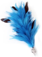 Verenpluim Turquoise Buigbaar - 30cm (achterkant)