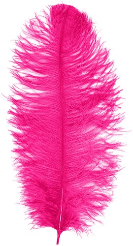 Baret Struisvogelveer Pink 60-70cm