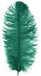 Baret Struisvogelveer Groen 60-70cm