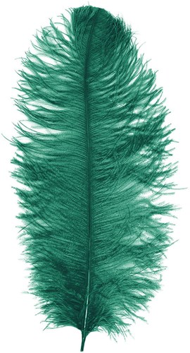 Baret Struisvogelveer Groen 60-70cm