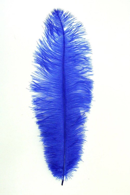 Struisvogelveer Blauw ca. 30cm
