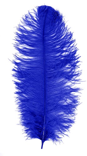 Baret Struisvogelveer Blauw 60-70cm