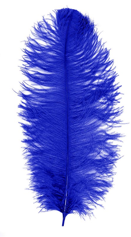 Baret Struisvogelveer Blauw 60-70cm