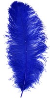 Baret Struisvogelveer Blauw 60-70cm-2