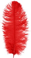 Baret Struisvogelveer Rood 60-70cm
