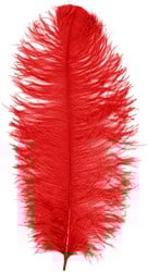 Baret Struisvogelveer Rood 60-70cm