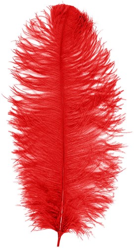 Baret Struisvogelveer Rood 60-70cm