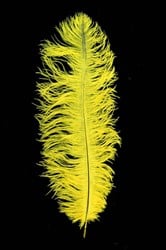 Struisvogelveer Geel ca. 30cm