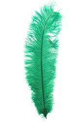 Struisvogelveer Groen ca. 30cm