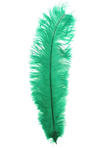 Struisvogelveer Groen ca. 30cm