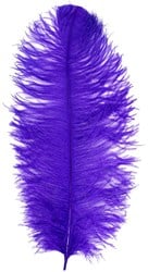 Baret Struisvogelveer Paars 60-70cm
