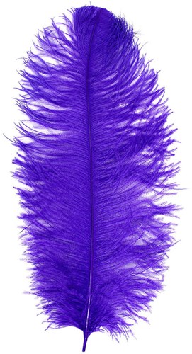 Baret Struisvogelveer Paars 60-70cm