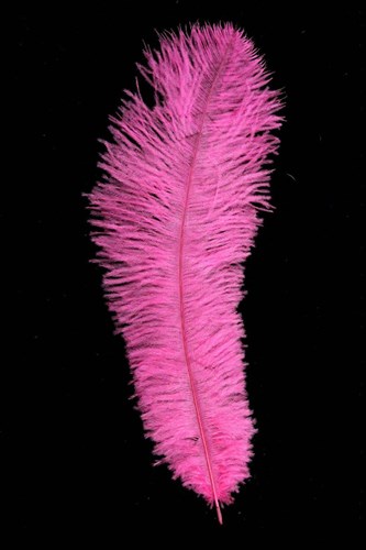 Struisvogelveer Pink ca. 30cm