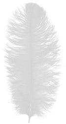 Baret Struisvogelveer Wit 60-70cm