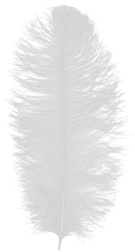 Baret Struisvogelveer Wit 60-70cm