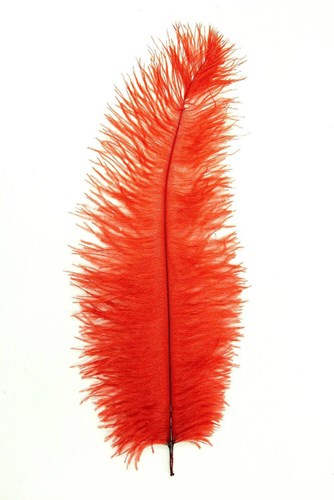 Struisvogelveer Rood ca. 30cm