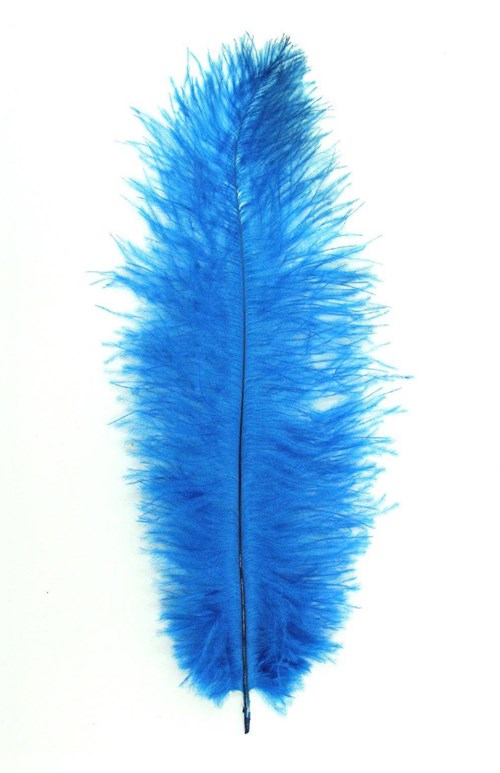 Struisvogelveer Turquoise ca. 30cm