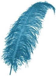 Struisvogelveren 50-60cm Turquoise