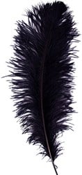 Baret Struisvogelveer Zwart 60-70cm