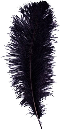 Baret Struisvogelveer Zwart 60-70cm
